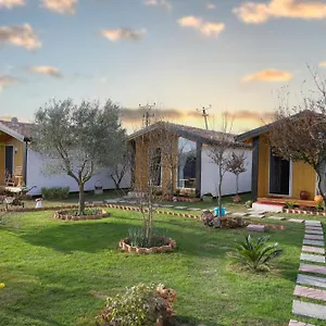 Linda , Shkodër Albania